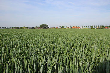 Akkerbouw_koerier_mar26_T2 bespuiting.jpg